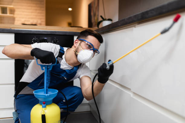 Best Mosquito Control Services  in Tuckerman, AR