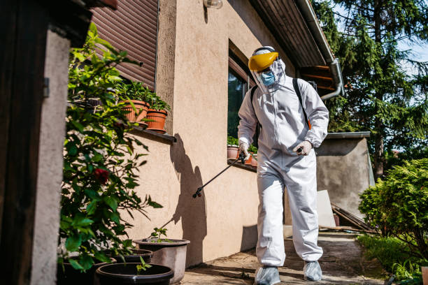 Professional Pest Control in Tuckerman, AR