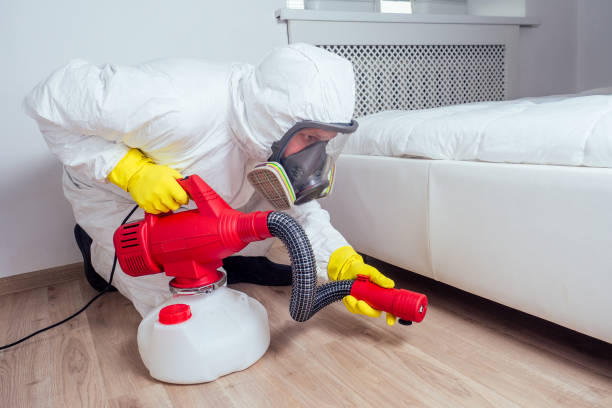 Best Best Pest Control Companies  in Tuckerman, AR