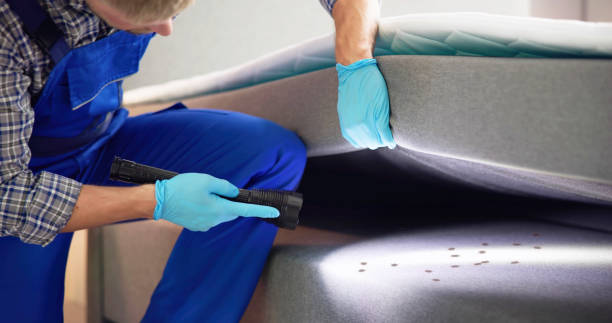 Pest Control for Restaurants in Tuckerman, AR
