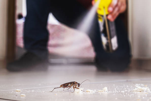 Pest Control for Restaurants in Tuckerman, AR