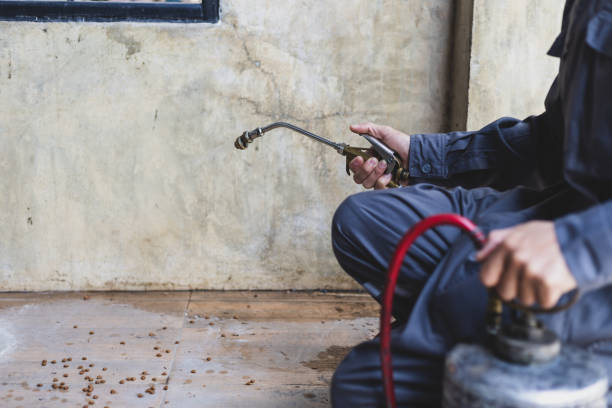 Best Local Pest Control Services  in Tuckerman, AR